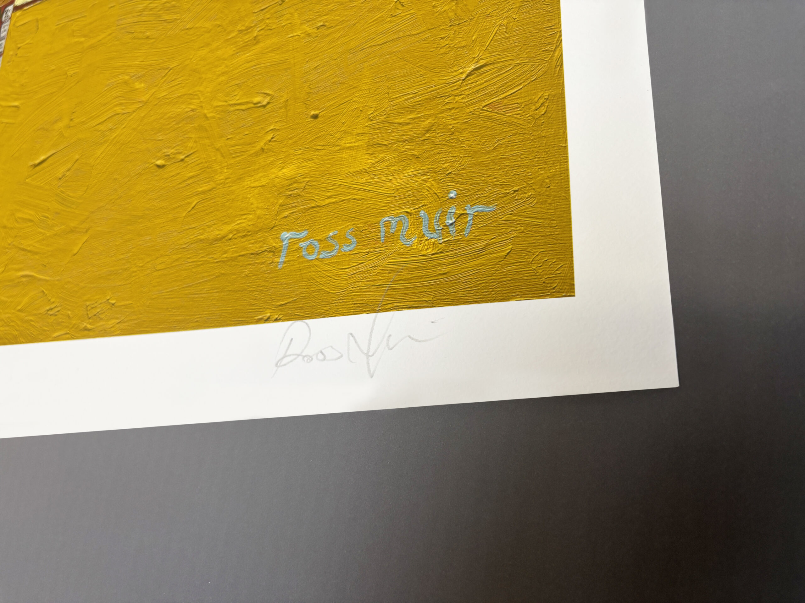Xtra Value Sunflowers - Ross Muir Art